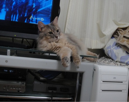 2012070702.jpg