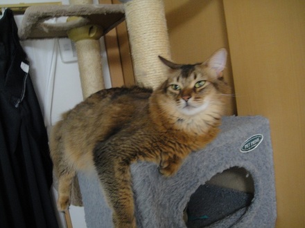 2012070703.jpg