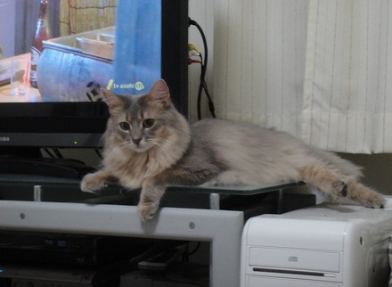 2012070704.jpg