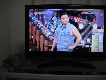 2012070900.jpg