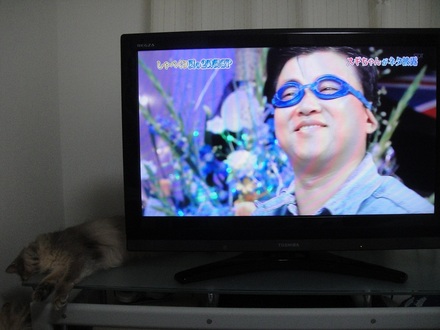 2012070901.jpg