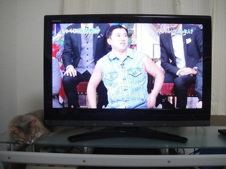 2012070903.jpg