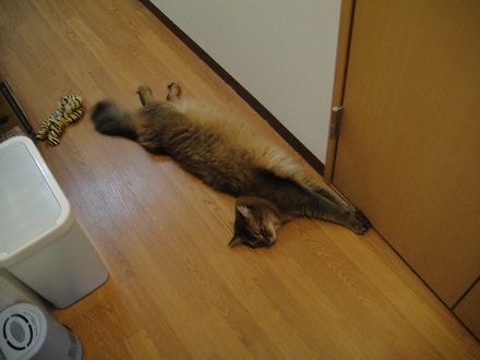 2012070905.jpg