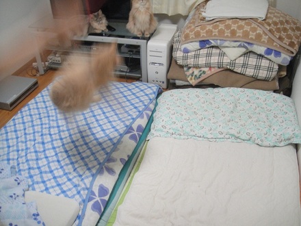 2012071100.jpg