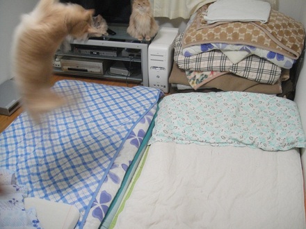 2012071101.jpg