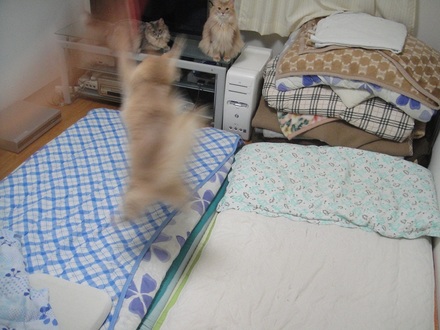 2012071102.jpg