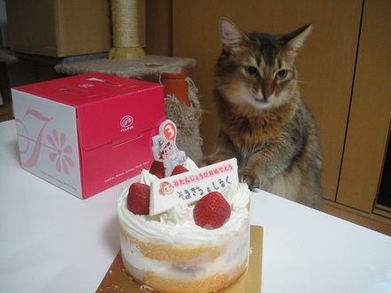 2012071402.jpg