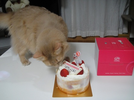 2012071405.jpg