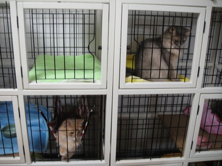 2012071406.jpg