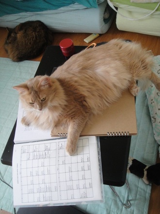 2012071407.jpg