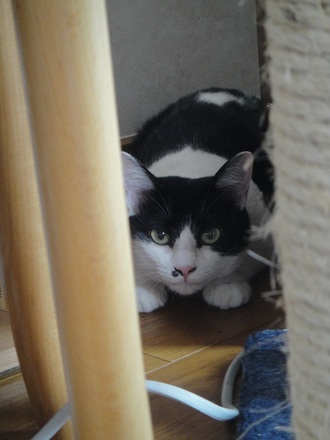 2012071603.jpg