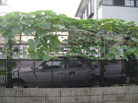 2012071608.jpg