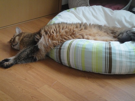 2012071609.jpg