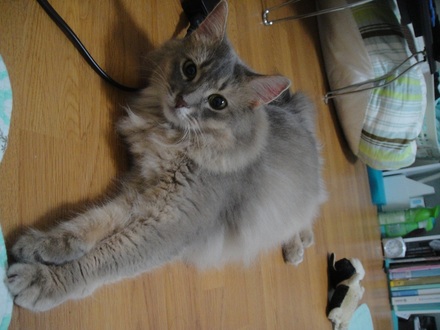 2012071610.jpg