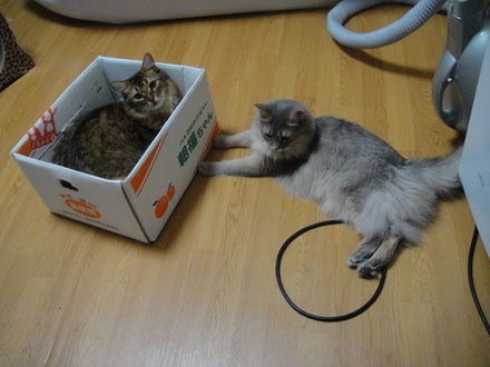 2012071800.jpg