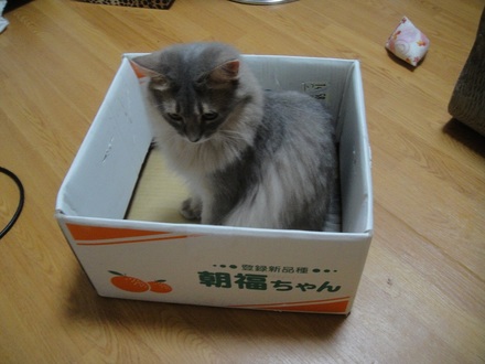2012071801.jpg