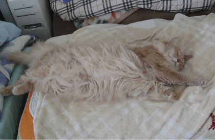 2012072101.jpg
