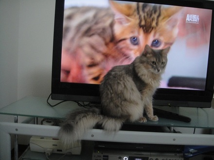 2012072200.jpg