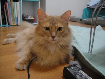 2012072400.jpg
