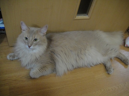 2012072401.jpg