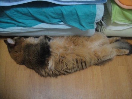 2012072402.jpg