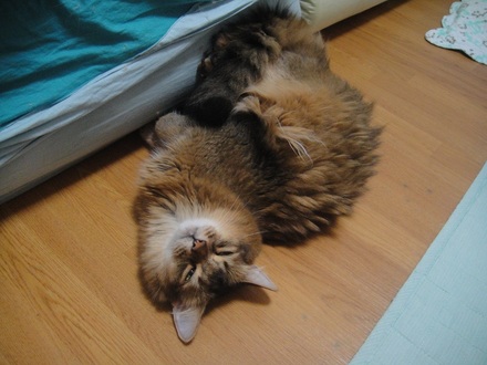 2012072403.jpg