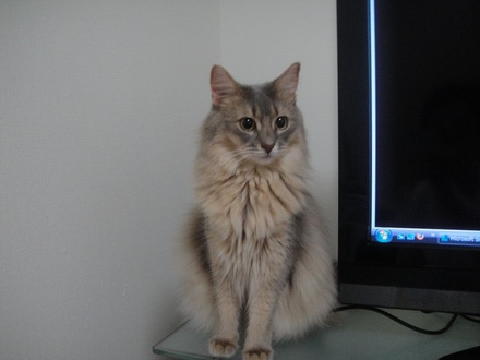 2012072700.jpg