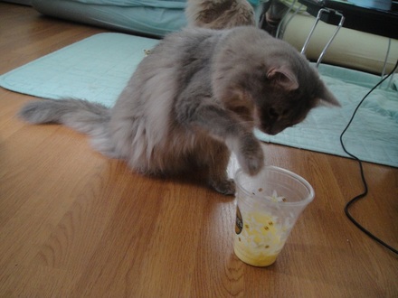 2012072701.jpg
