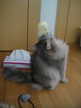 2012072702.jpg