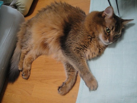 2012072800.jpg