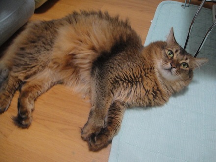 2012072802.jpg
