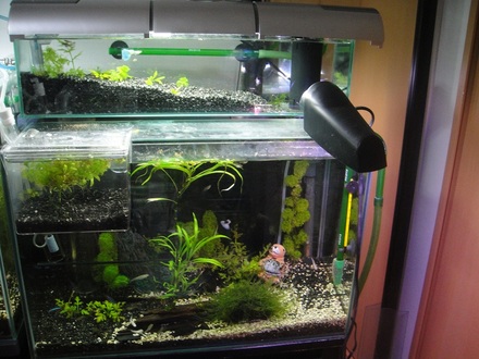 2012072903.jpg