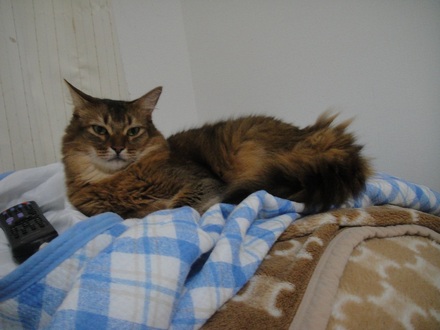20120801.jpg