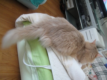 2012080100.jpg