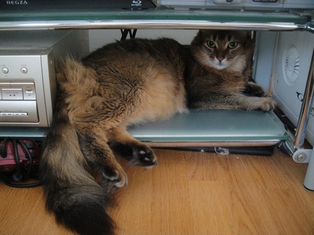 2012080200.jpg