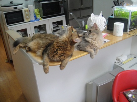 2012080204.jpg