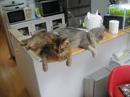 201208020401.jpg