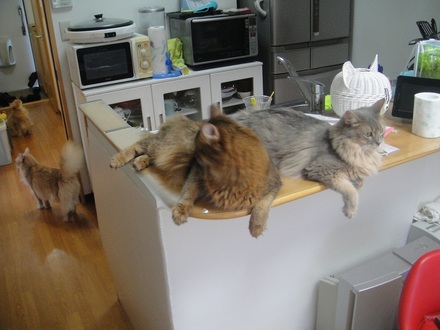 201208020402.jpg