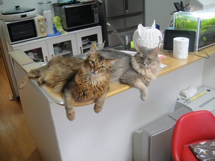 201208020403.jpg