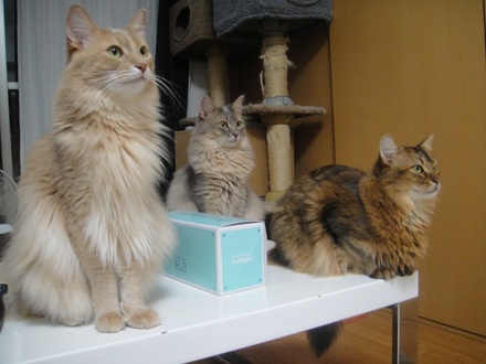 2012080600.jpg