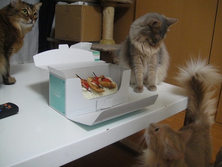 2012080603.jpg