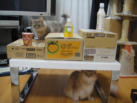 2012080800.jpg
