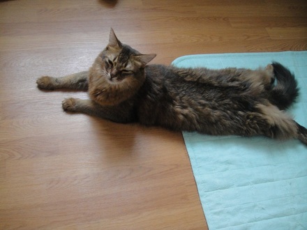2012081400.jpg