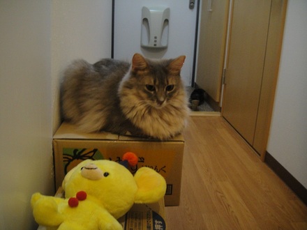 2012081401.jpg