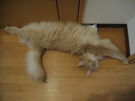 2012081403.jpg