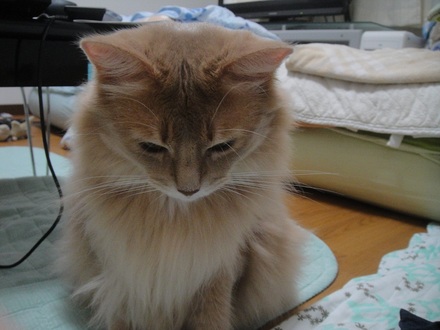 2012081404.jpg