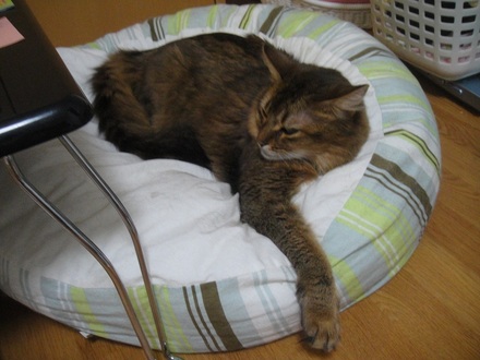 2012081800.jpg