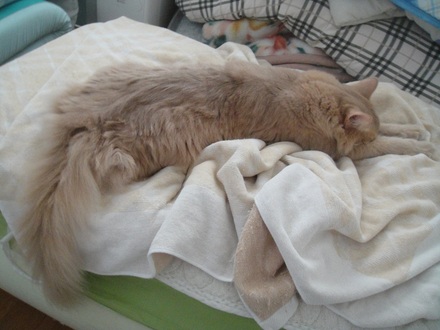 2012081801.jpg