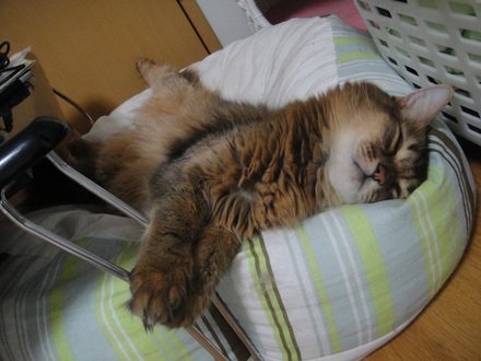 2012081901.jpg