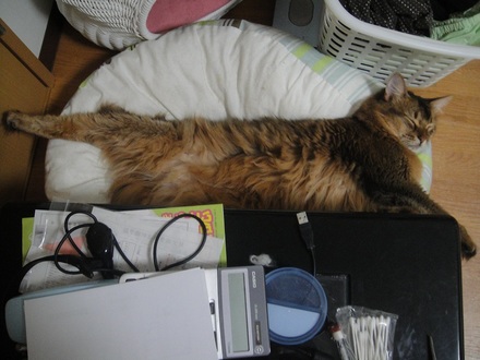 2012081902.jpg
